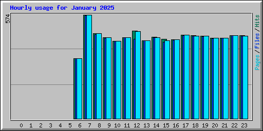 Hourly usage for January 2025